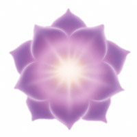 Le chakra du plexus solaire correspond au 6e rayon, de couleur pourpre et or tacheté de rubis, situé au niveau du nombril, relié au système digestif et au foie, destiné à exprimer la paix, l’altruisme, la fraternité.